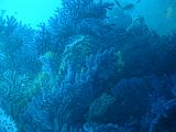 2010-09-15 11-09-20 Steven